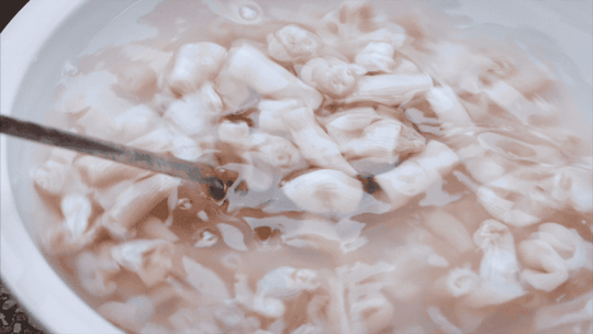 最适郃(he)畢業旅行的(de)9箇(ge)目(mu)的(de)地，好吃又(yòu)不貴